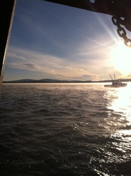 Sunrise from the Scallop Boat